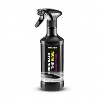 Stiklų ploviklis Karcher 500 ml